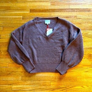 NWT pink v neck sweater